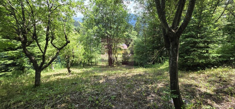 Teren exclusivist pentru dezvoltare imobiliara – Zona Furnica, Sinaia