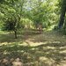 Teren exclusivist pentru dezvoltare imobiliara – Zona Furnica, Sinaia
